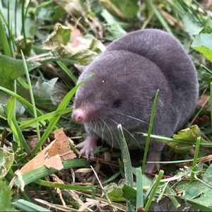 Meet your Posher, Brielle